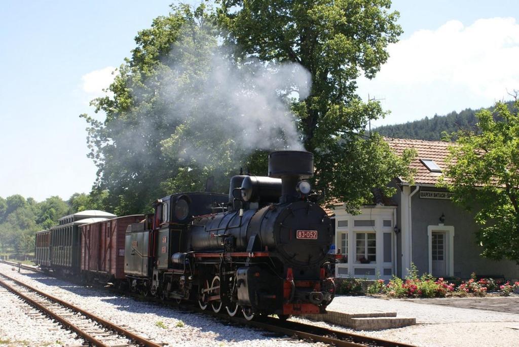 Vila Kuca Karajic Kremna Exteriér fotografie